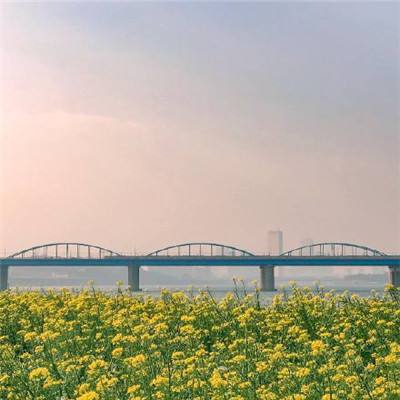 植物大战僵尸2天空之城高清版下载